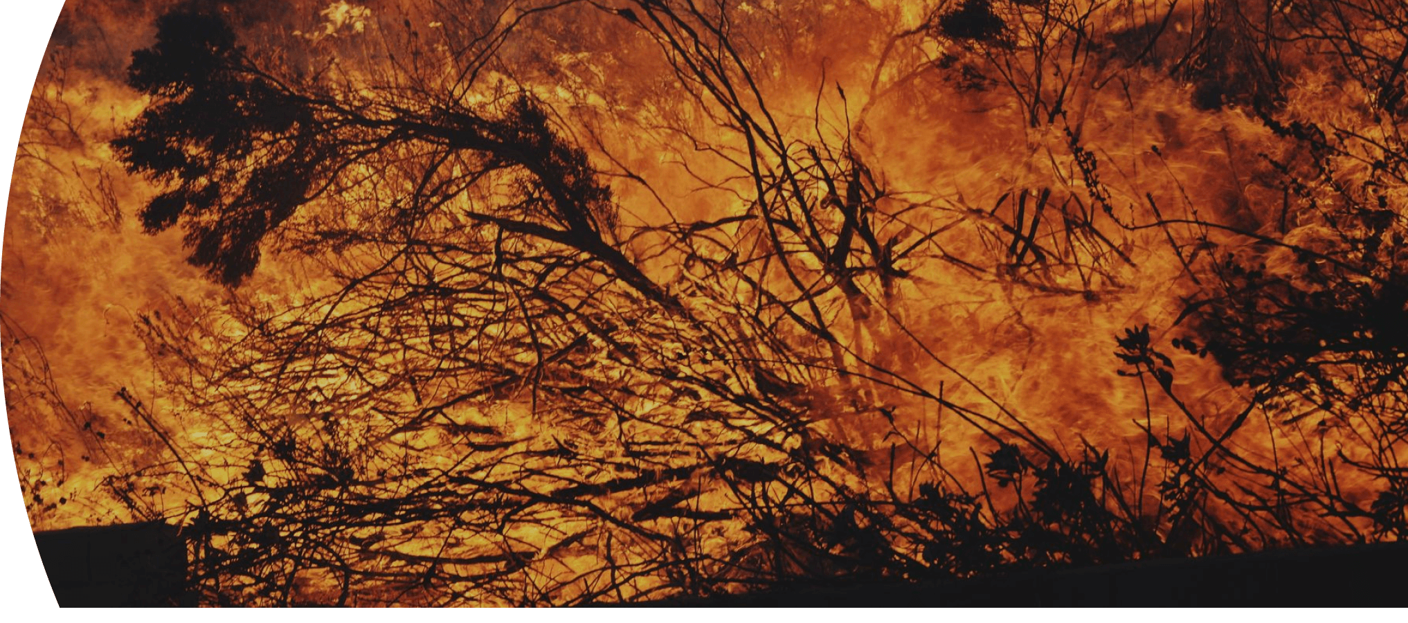 Bushfire